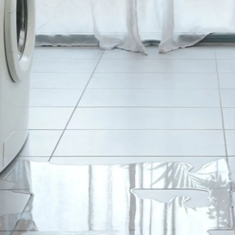 Appliance Leak Cleanup in Chelan County, WA