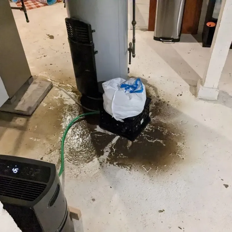 Sewage Backup Cleanup Service in Chelan County, WA